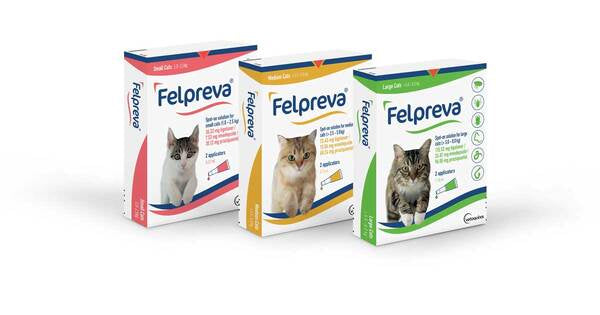 FELPREVA... el antiparasitario que te enamorará a ti y a tu gato