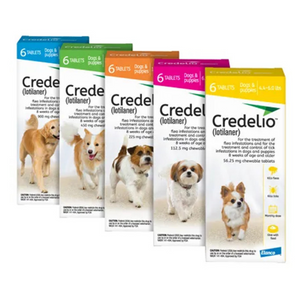 Credelio perros, pastillas antiparásitos