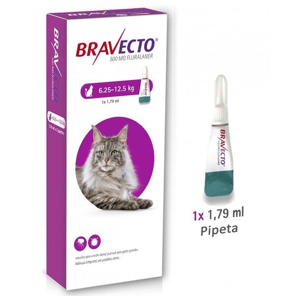 Bravecto Plus Gatos